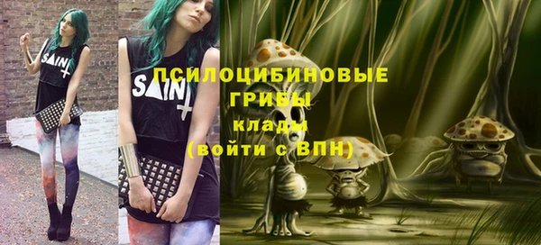 apvp Бугульма