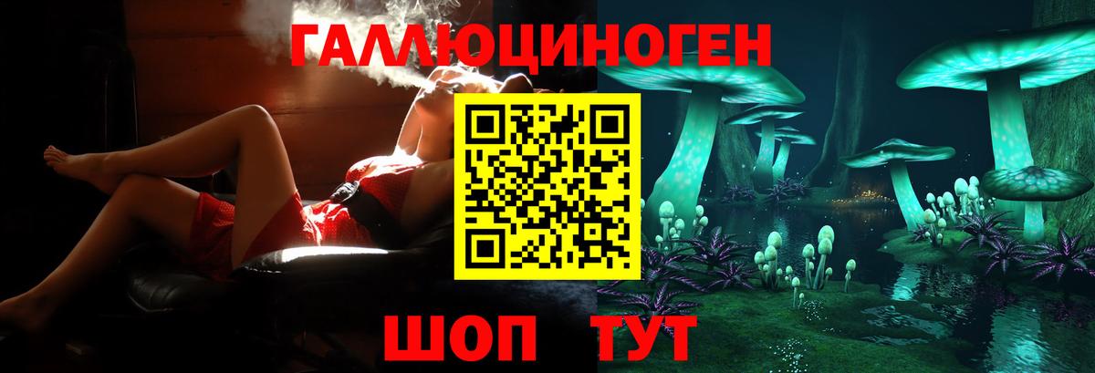 Псилоцибиновые грибы GOLDEN TEACHER Гудермес